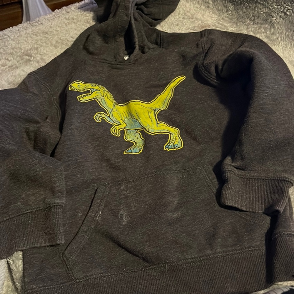 Jumping beans size 5-6 hoodie has dinosaurs on front